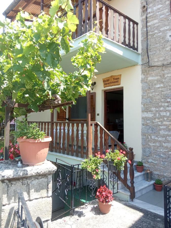 Small Town Apartment Konitsa Eksteriør bilde