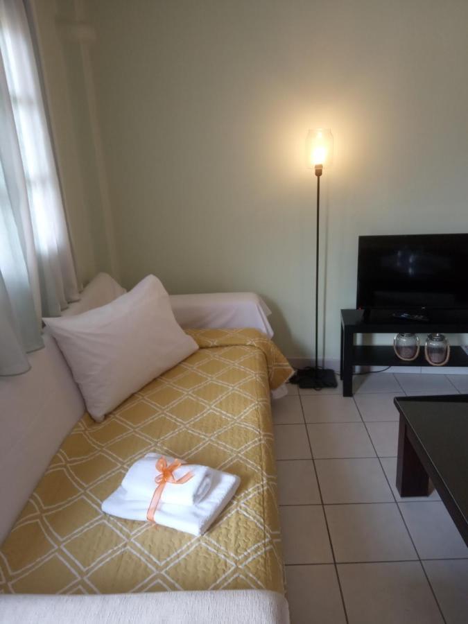 Small Town Apartment Konitsa Eksteriør bilde